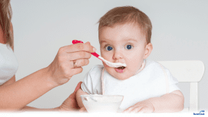 Когда вводить прикорм – читайте на Nutriclub